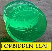 Forbidden Leaf
